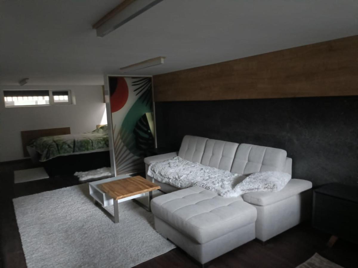 New Apartment Apartament Modern Recent Construit Modern Ujepitesu Tarsashazi Lakresz Miercurea Ciuc Exterior foto